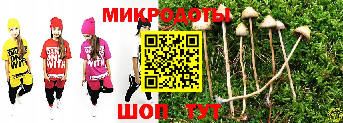 Псилоцибиновые грибы GOLDEN TEACHER  Вход с VPN  Киселёвск 