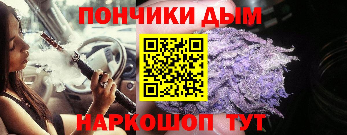 Шишки марихуана план  Бошки Шишки план  Вход с VPN  Марихуана White Widow  Киселёвск 